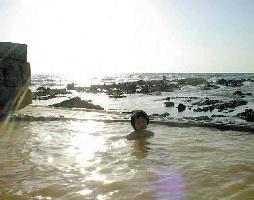 �����_�b�c�􂻂̂P